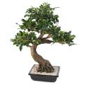 Bonsai Artificiel Ficus en Coupe