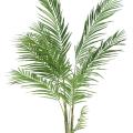Areca Artificiel 160cm
