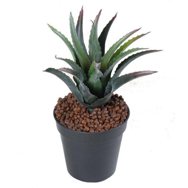 Furcraea Artificiel *15