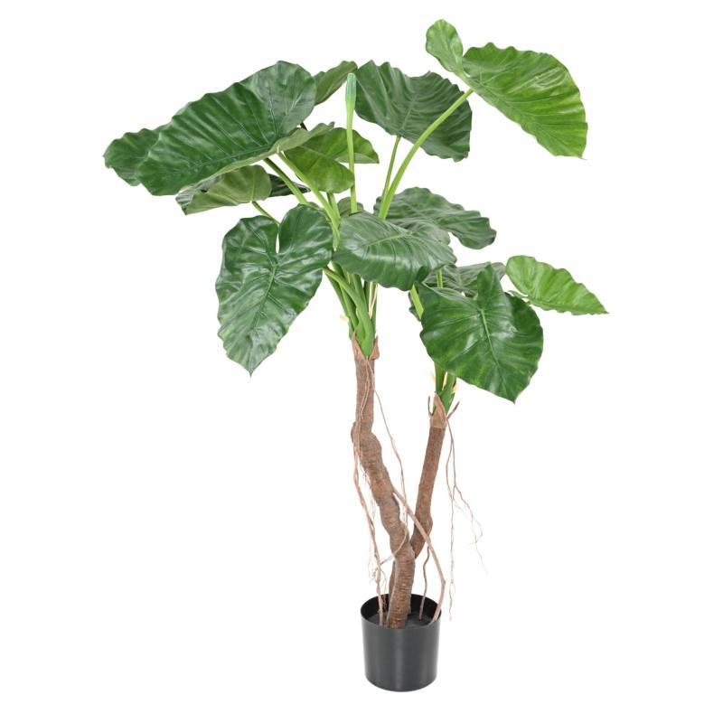 Alocasia Artificiel Calidora 2T