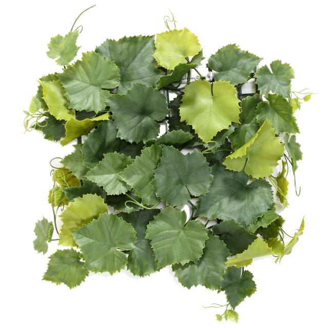 Vigne Artificielle Plaque Plast*45 UV