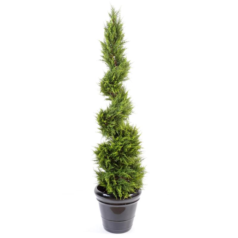 Cypres Artificiel Juniperus Juniperus Spirale Fine