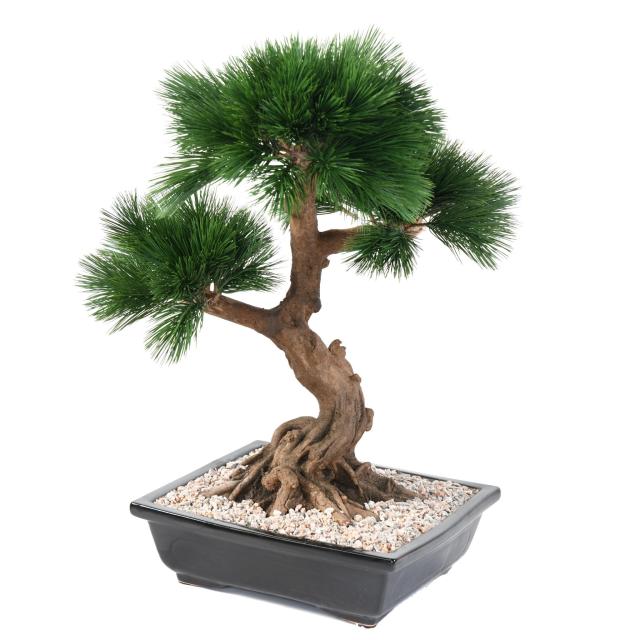 Bonsaï Artificiel Pin en Coupe