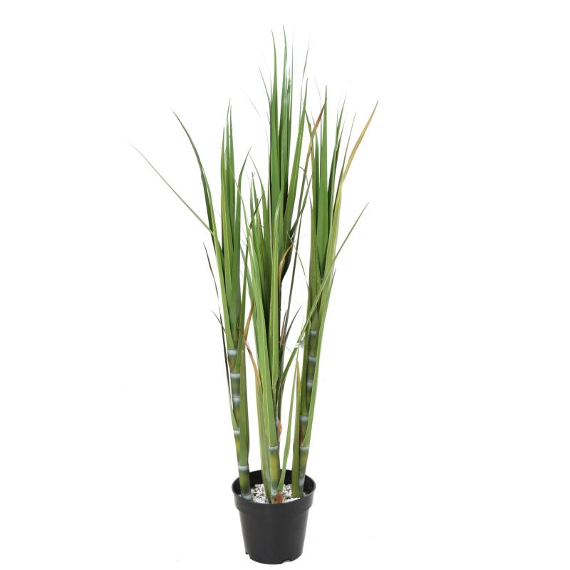 Canne à Sucre Artificielle
