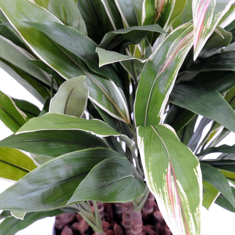 Dracaena Artificiel Cordyline Touffe