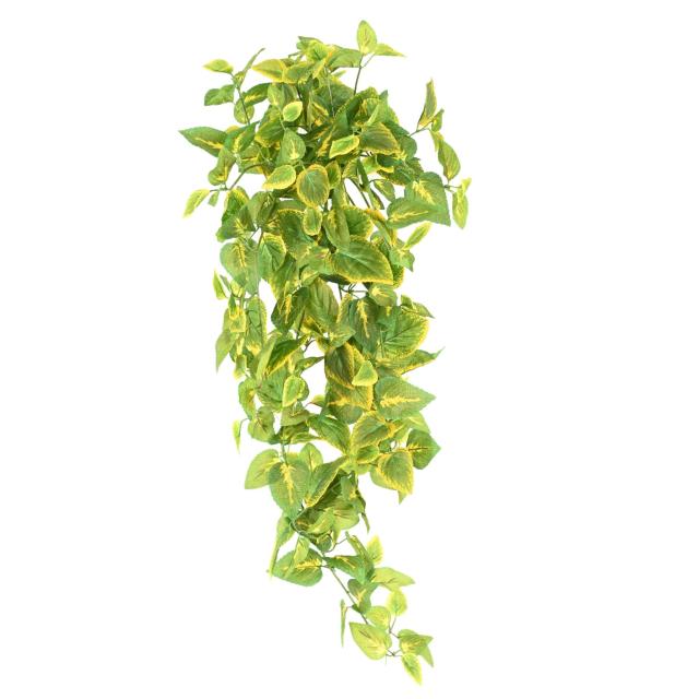 Coleus Artificiel Chute