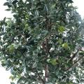 Fruitier Artificiel Platine (camelia Japonica Tree)