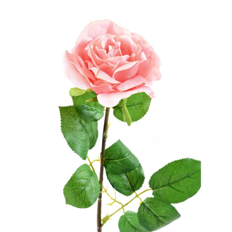 Rose 66 Artificielle