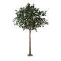 Fruitier Artificiel Platine (camelia Japonica Tree)