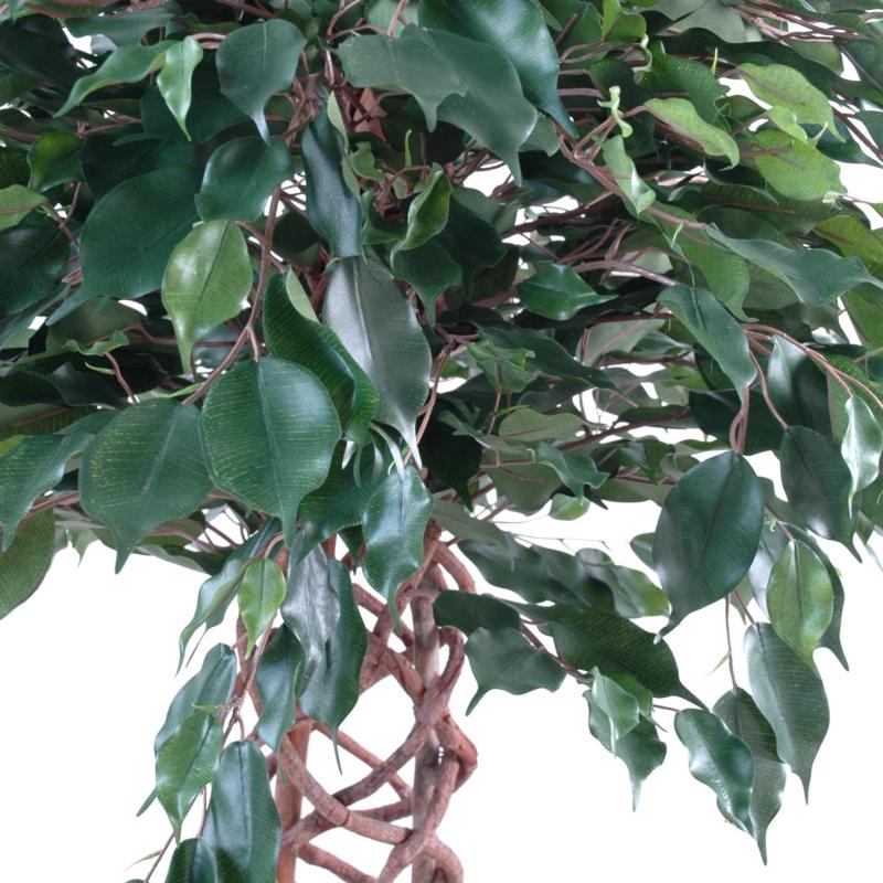 Ficus Artificiel Cage