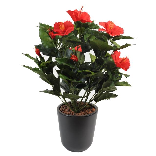 Hibiscus Artificiel Piquet