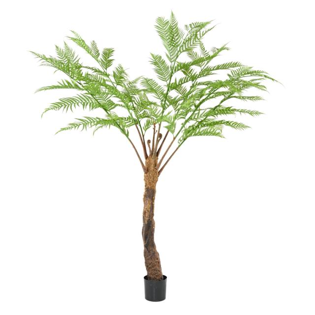 Dicksonia Artificielle (fougere)