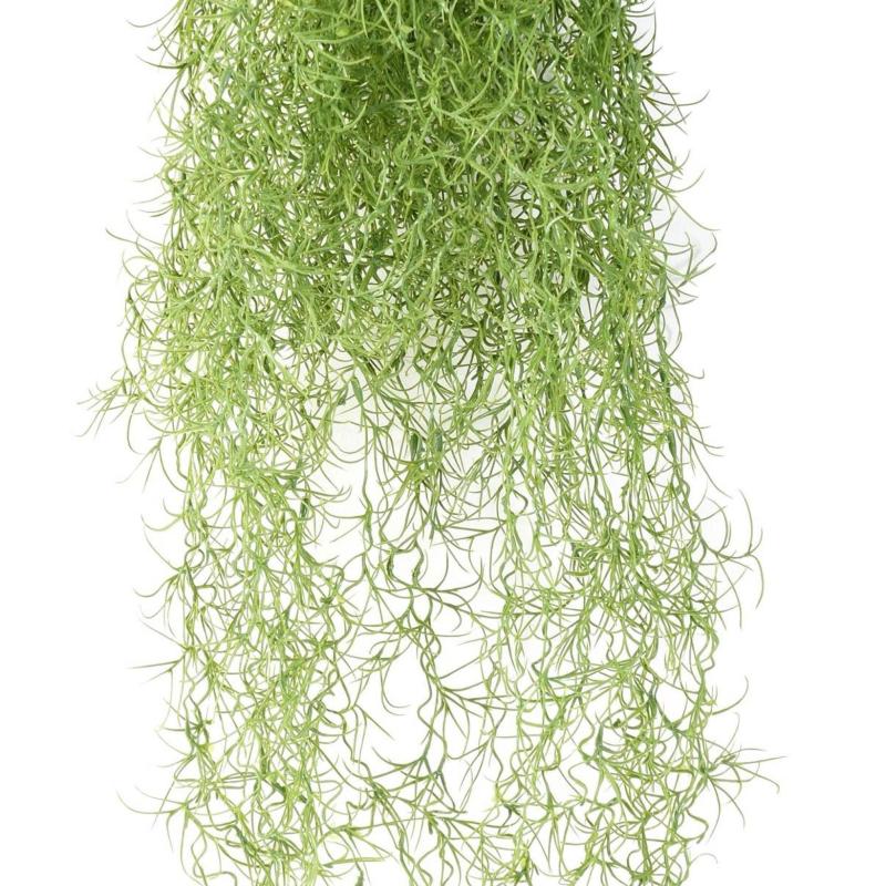 Tillandsia Artificiel FR - Fire Resistant