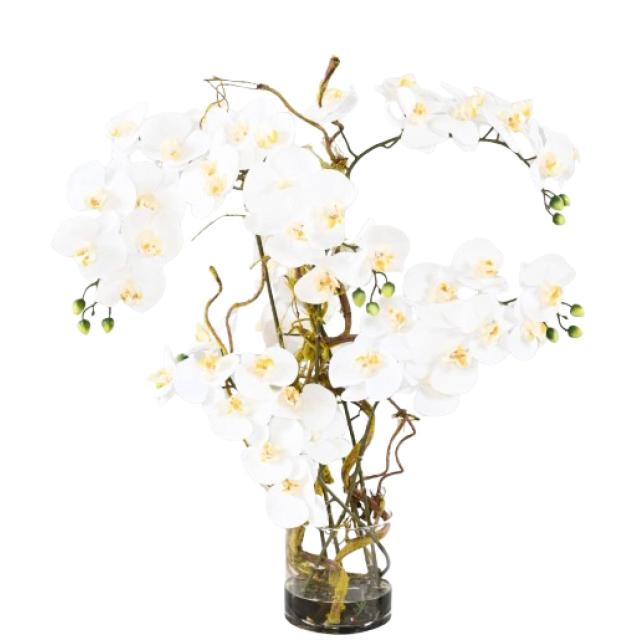 Composition Artificielle Phalaenopsis