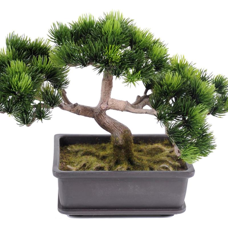 Bonsai Artificiel Pin Mini