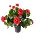 Geranium Artificiel*115