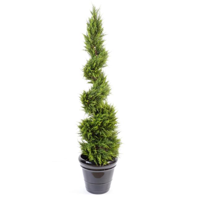 Cypres Artificiel Juniperus Juniperus Spirale Fine
