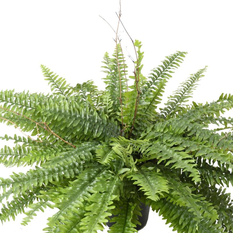 Fougere Artificielle Boston Geant en Pot