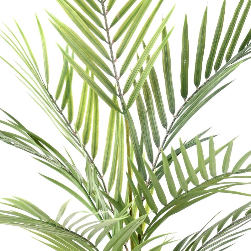 Areca PLAST Artificiel