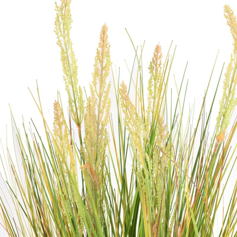 Onion Artificiel Grass Graine
