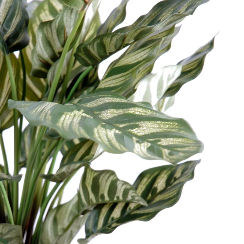 Maranta Artificiel Calathea Makoyana*40f