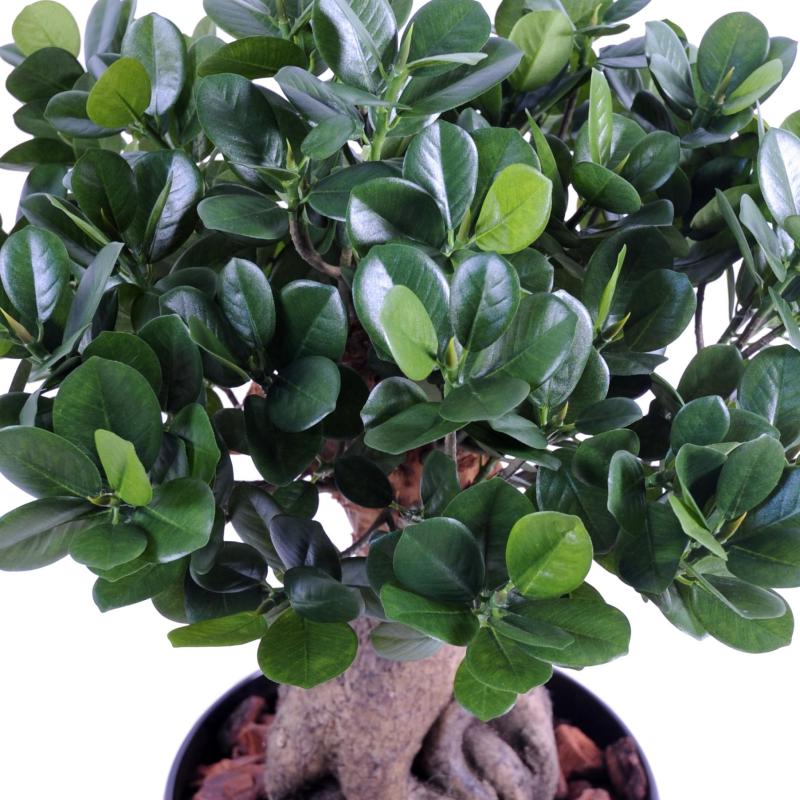 Ficus Artificiel Panda Ginseng