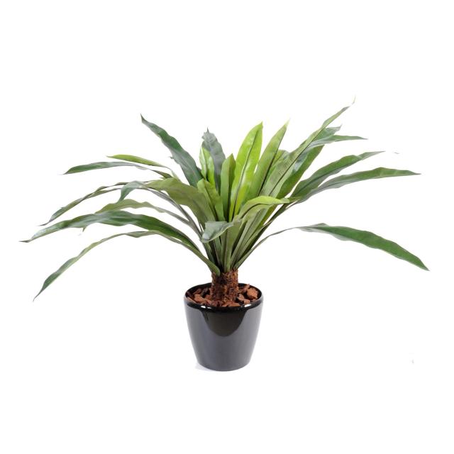 Asplenium Artificiel Tronc*30