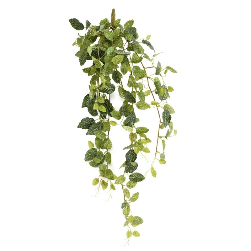 Fitonia Artificiel Mini *231