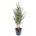 Eucalyptus Artificiel Buisson 130 CM