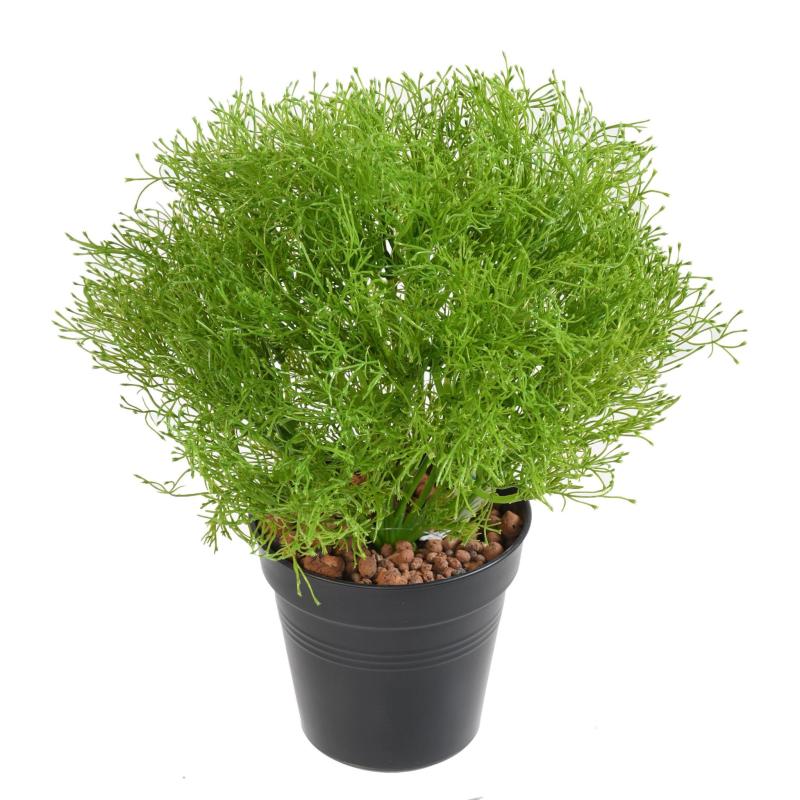 Gypsophile Artificiel