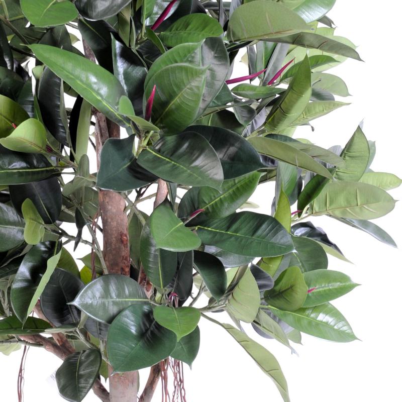 Rubber Plant TREE Artificiel