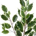 Ficus Artificiel Exotica Spray*55