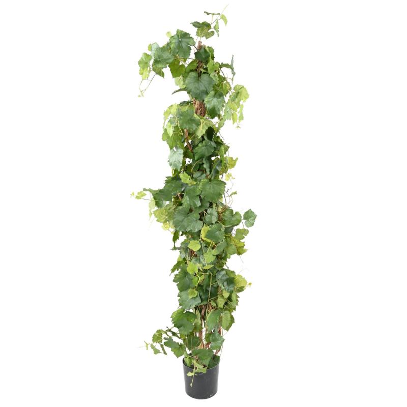 Vigne Artificielle TREE