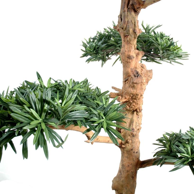 Podocarpus Artificiel Nuage Large