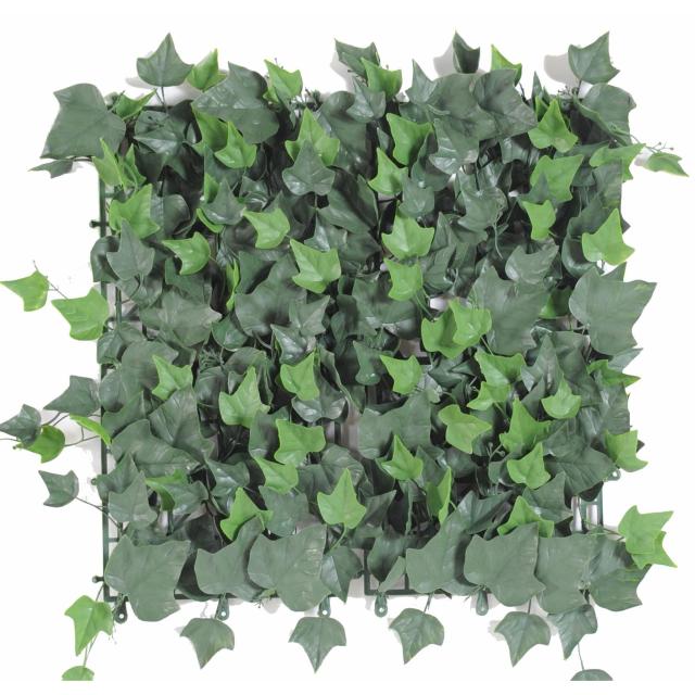Lierre Artificiel Plaque 50*50