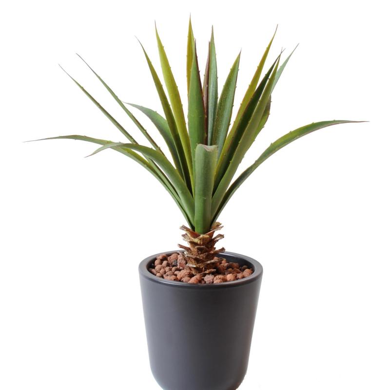 Aloe Artificielle Ferox