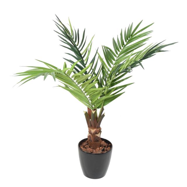 Kentia Artificiel Tronc