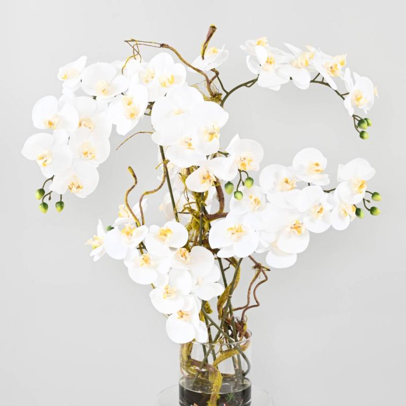Composition Artificielle Phalaenopsis