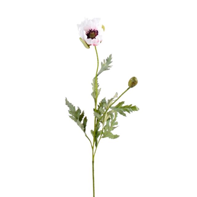 Pavot Artificiel