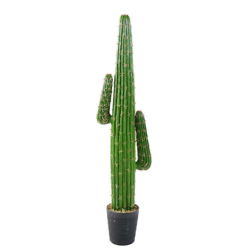 Cactus Artificiel Mexico NEW