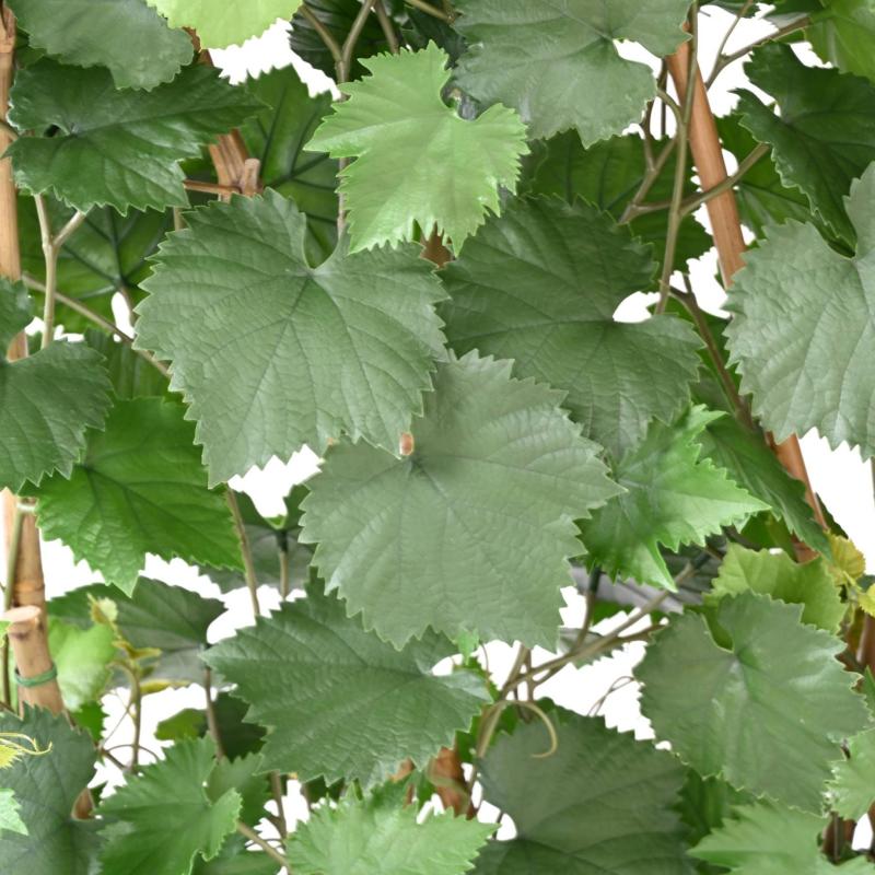 Vigne Artificielle Haie PLAST UV Resistant