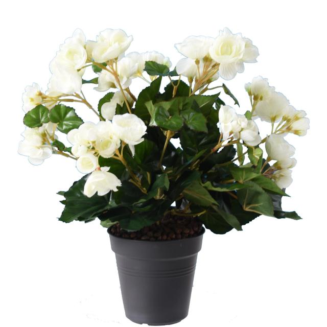 Begonia Artificiel*90