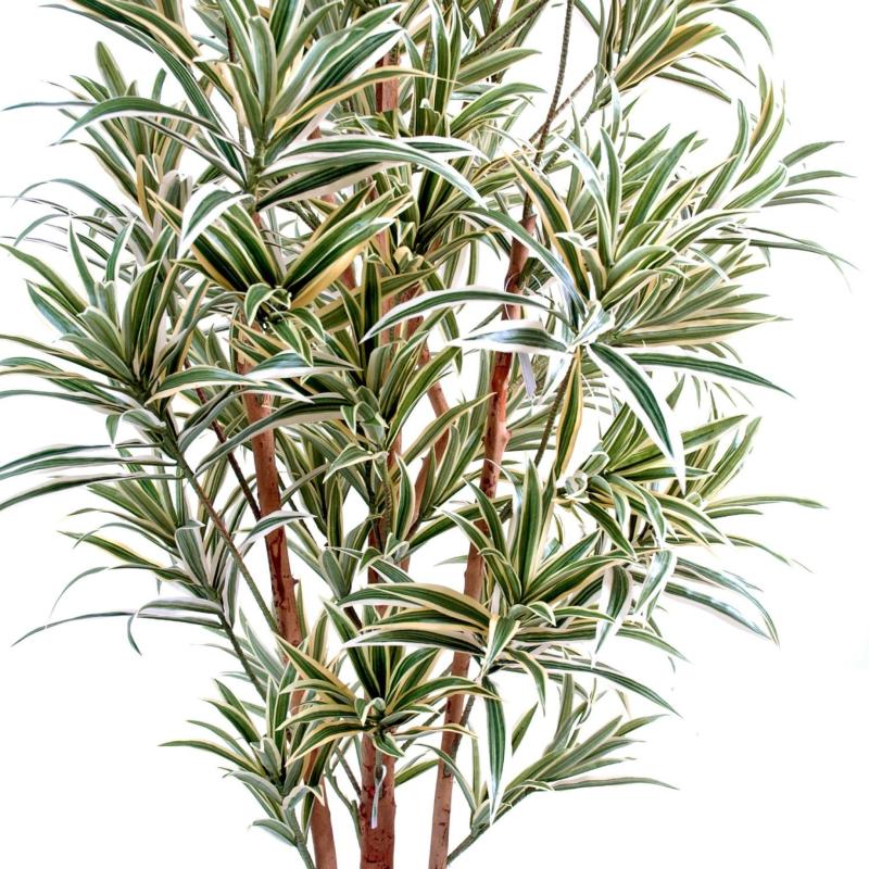 Dracaena Artificiel Reflexa