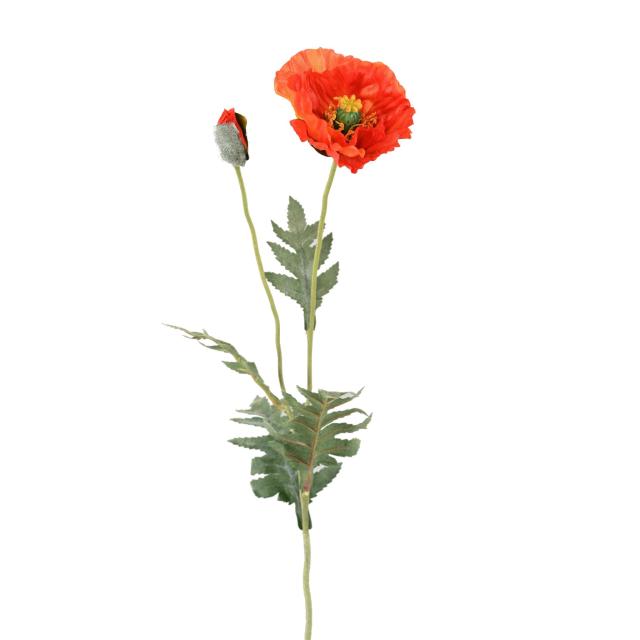 Pavot Artificiel 72