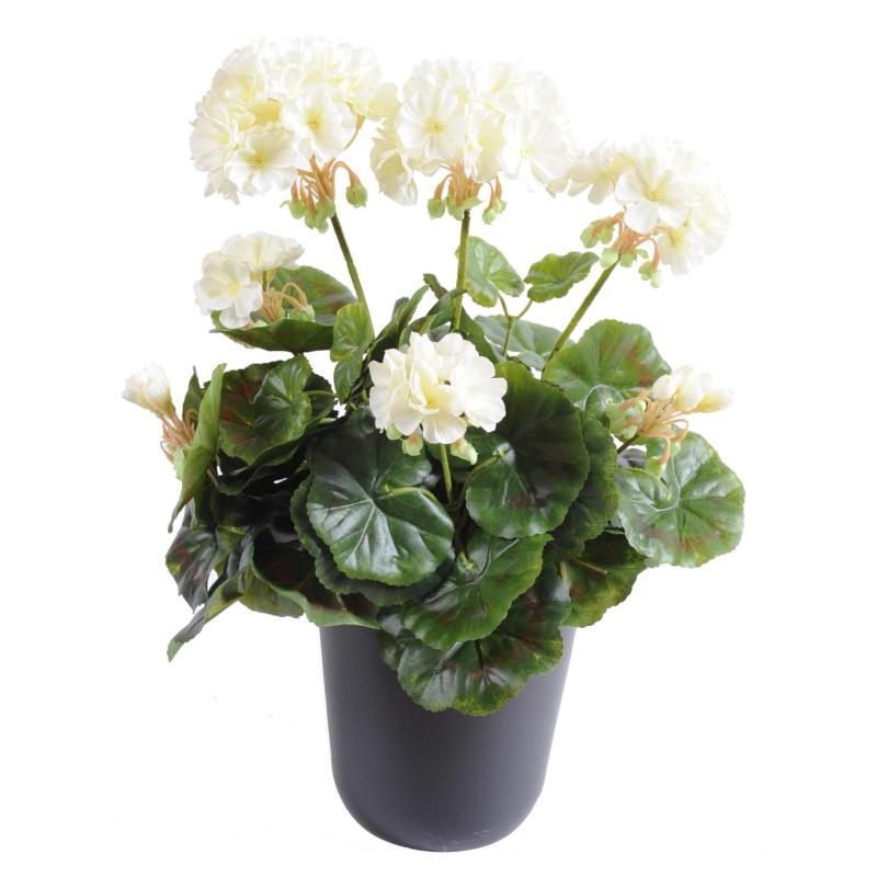 Geranium Artificiel *52