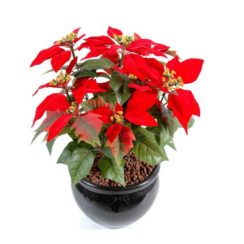 Poinsettia Artificiel 9 Fleurs Rouge