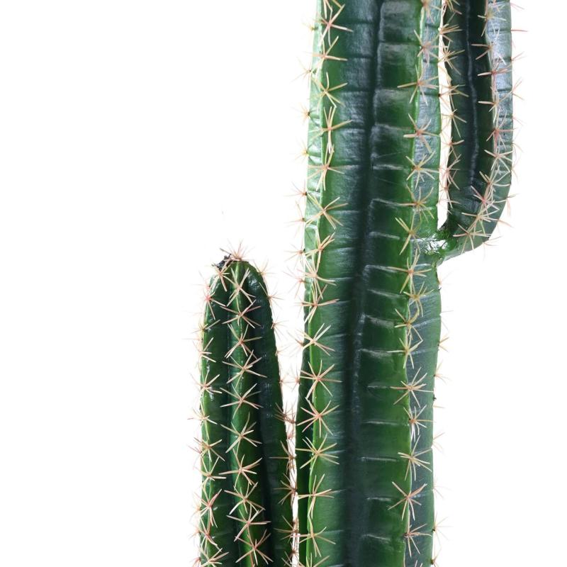 Cactus Artificiel Cereus