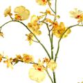 Oncidium Artificiel Geant