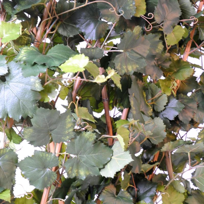 Vigne Artificielle Haie