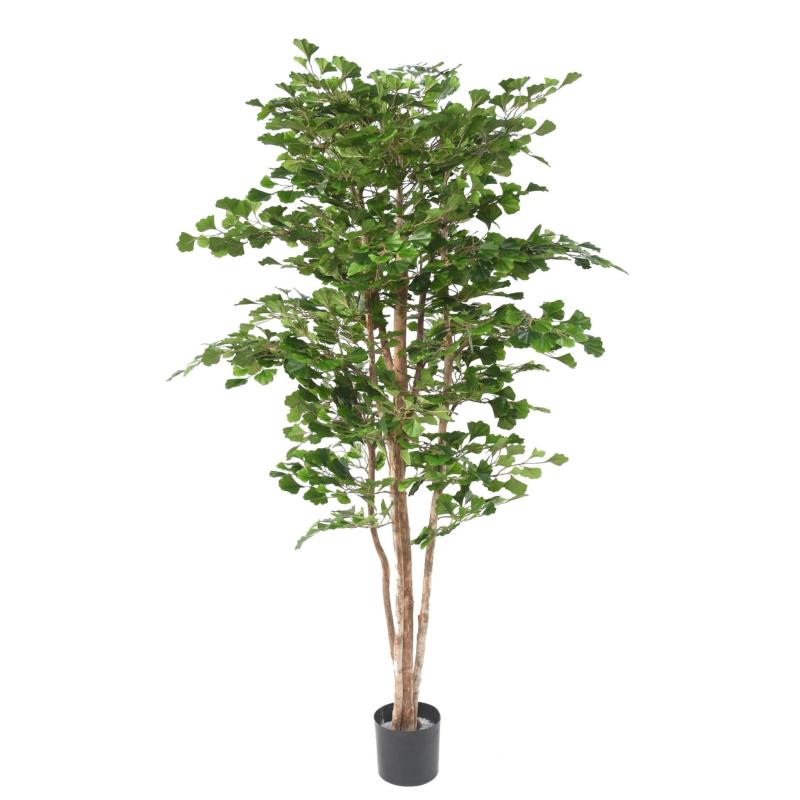 Ginkgobiloba Artificiel 180 N